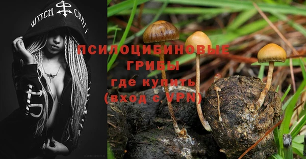 дживик Алексин