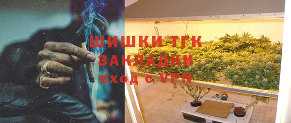 дживик Алексин