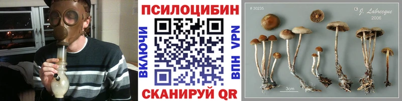 darknet как зайти  Севастополь  Псилоцибиновые грибы мухоморы 