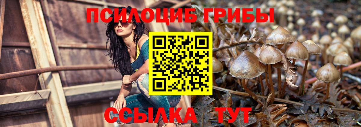 Псилоцибиновые грибы прущие грибы Севастополь