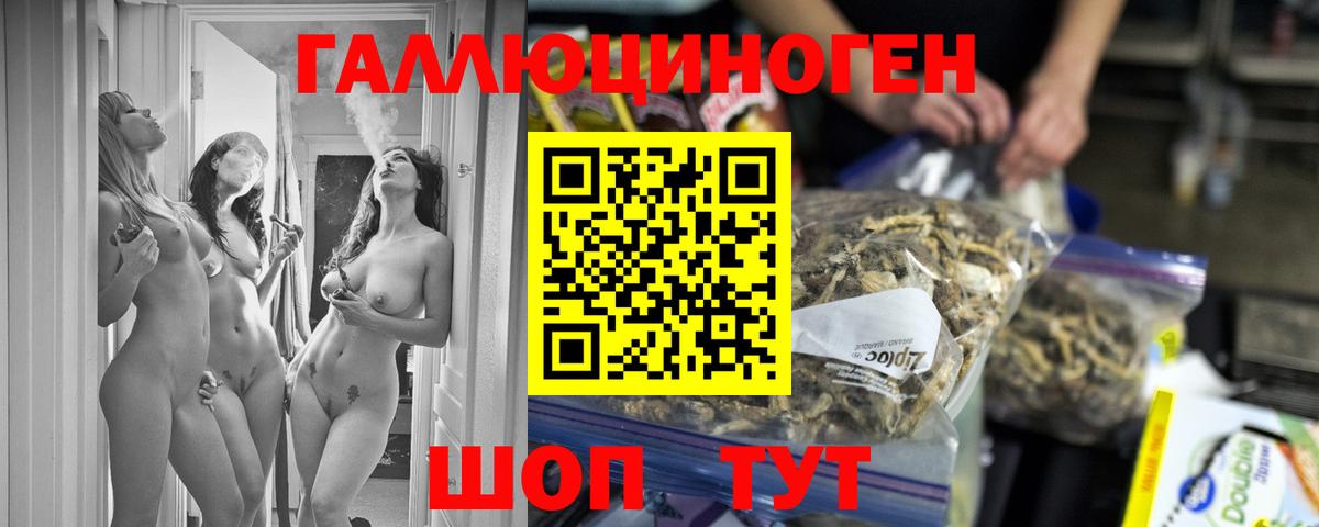 Псилоцибиновые грибы Psilocybe  Галлюциногенные грибы мицелий  Севастополь  Вход с VPN 